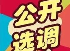 衡东县公开选配县纪委派驻纪检组和县委巡察组工作人员公告