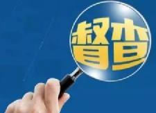 我县集中对44家涉企信息归集单位开展督查