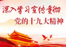 衡东二中将学习贯彻党的十九大精神与读书征文活动有机结合