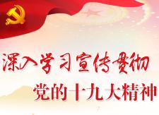 县红十字会、农业局邀请专家讲课学习十九大精神