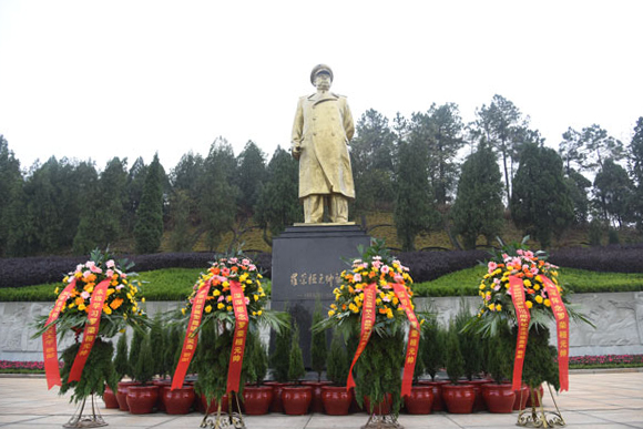 今天，我们深切缅怀罗荣桓元帅——我县举行罗荣桓诞辰115周年纪念活动
