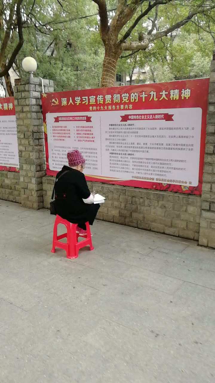 七旬奶奶沐浴着阳光手抄十九大报告