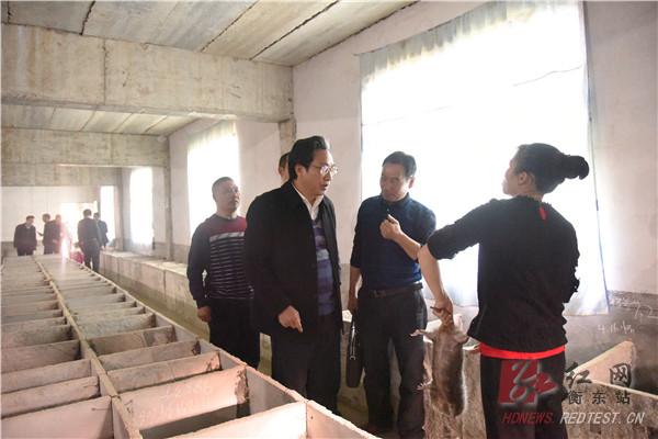 县委书记吴伟生点赞杨林镇新扶村产业扶贫