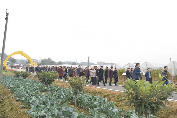 100余名省、市、县人大代表集中视察我县经济社会发展