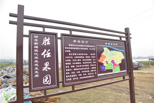 100余名省、市、县人大代表集中视察我县经济社会发展