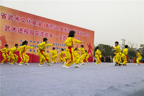 武术进校园巡演落下帷幕 近万名师生观看