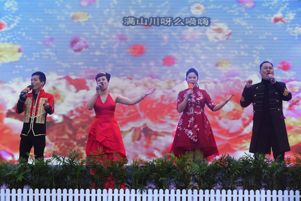节目精彩不断，群众欢乐开怀——“幸福花开•十九大精神润衡东”文艺宣讲走进社区、乡镇、学校、企业