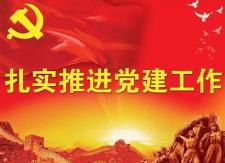 杨林镇召开2017年度党组织书记履行基层