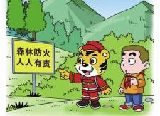 草市镇定人定岗定责开展春节期间森林防火工作