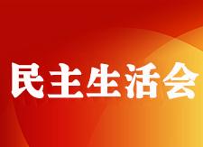 杨林镇召开2017年度领导班子民主生活会