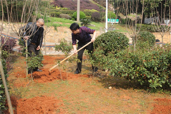 欧阳遇中学开展义务植树活动