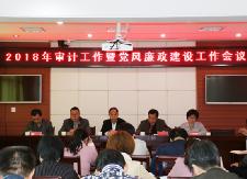 县审计局召开2018年审计工作暨党风廉政建设工作会议