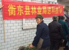 县林业局给贫困户送2000株油茶苗并现场培训栽植技术