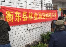 县林业局等单位为仙林村贫困户送树苗送技术