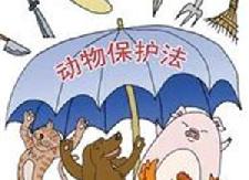 县林业局草市“赶分社”开展野生动植物保护宣传