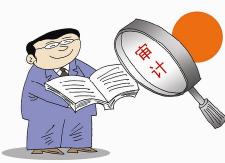 我县2017年度本级财政预算执行及其他财政收支情况的审计进点工作会召开