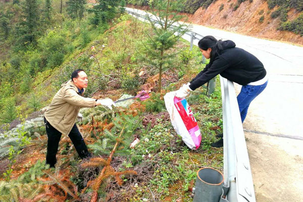 集中清扫日：单位、乡镇纷纷行动