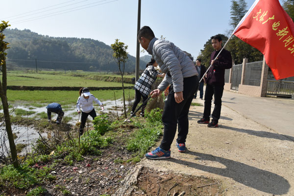 集中清扫日：单位、乡镇纷纷行动
