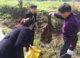【图组】蓬源镇大力推进农村环境卫生综合整治