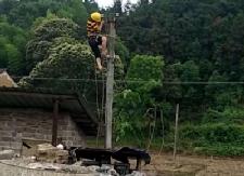 甘溪一非法碎石场被断电、拆除机械设备！