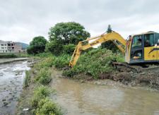 南湾河道治理需挖玛李树，群众支持无怨言