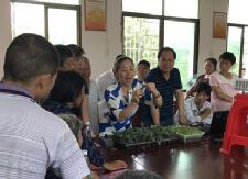 就业扶贫：技能送下乡，补助送上门