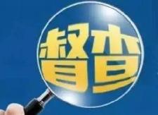 杨林镇督查各村环境卫生治理