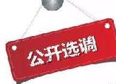 衡东县职业中等专业学校2018年文化公共课教师选调公告