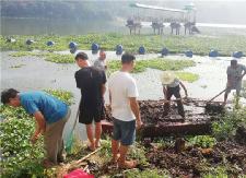 甘溪水电站集中清理河段水葫芦、杂草和垃圾