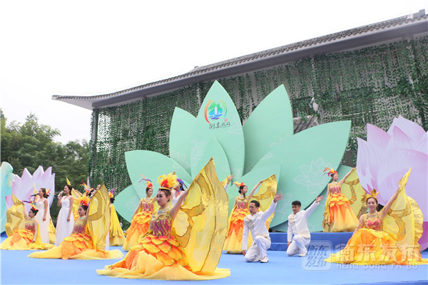 衡东乡村生态旅游文化节：万亩荷塘中上演文艺盛宴