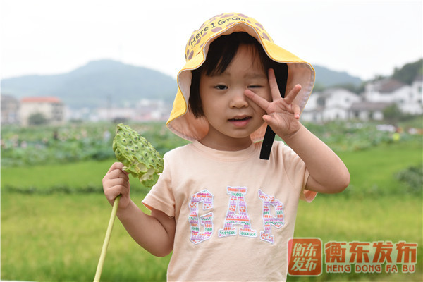 【组图】荷美白莲，大美衡东