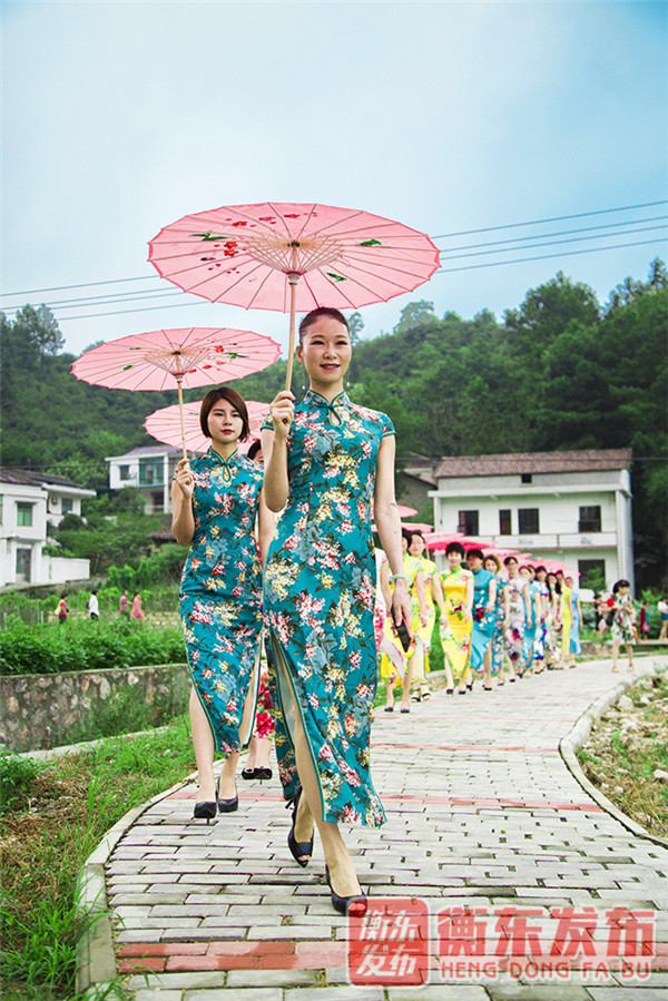 【组图】荷美白莲，大美衡东