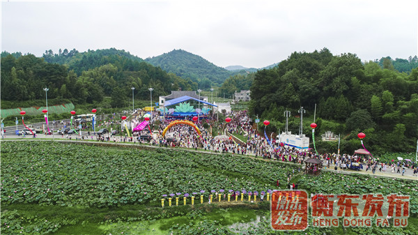 【组图】荷美白莲，大美衡东