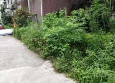 县城管执法队集中整治街道脏乱差问题