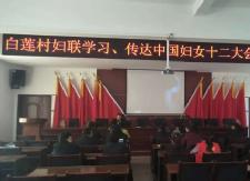 中国妇女十二大代表向淑云积极宣讲会议精神