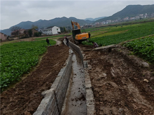 南湾“四冬”生产掀高潮