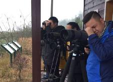 鸳鸯、黑水鸡、斑嘴鸭、绿头鸭等候鸟来到洣水湿地公园过冬