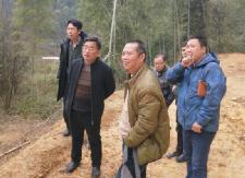 县林业局开展涉林采石问题专项调研