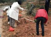 县编办深入扶贫驻点村植树庆“三八”