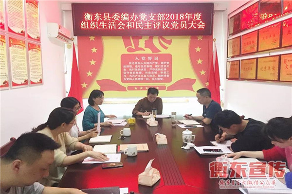县委编办党支部组织召开2018年度组织生活会和民主评议党员大会