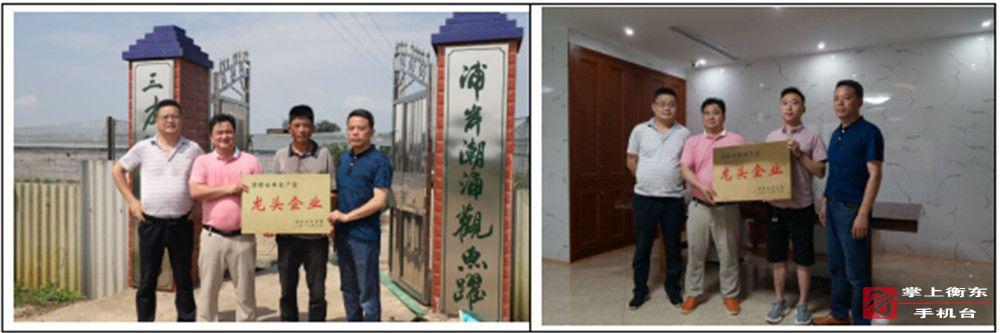 我县又有两家企业获评省级林业龙头企业