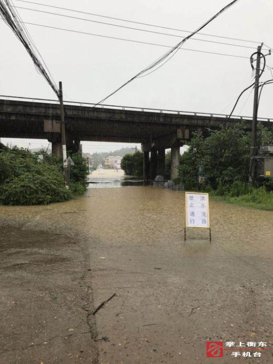 【迎战强降雨】高湖镇干群齐心抗洪救灾