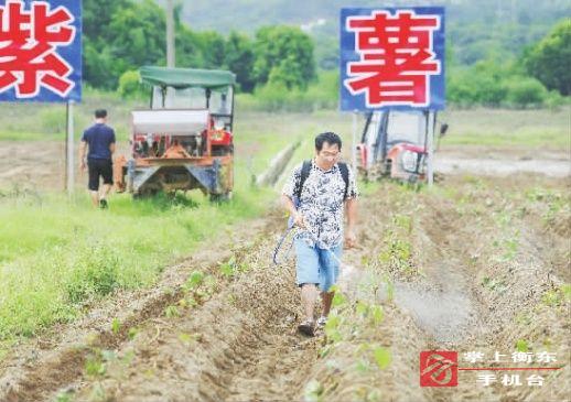 【媒体聚焦　看衡东】湖南日报报道：衡东帮扶受灾农户补损补种