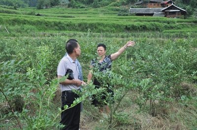 【媒体聚焦　看衡东】湖南日报报道：把支部建在扶贫产业链上——衡东县探索产业扶贫新模式