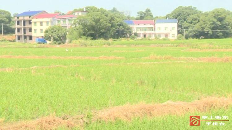 【万众一心　重建家园】大浦镇电灌站积极开展抗旱工作