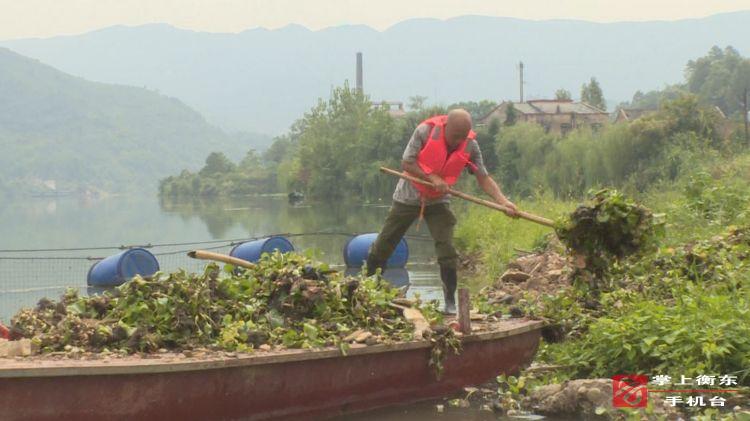 【追梦路上　盛夏衡东】守护一方碧水　甘溪河道保洁队在行动