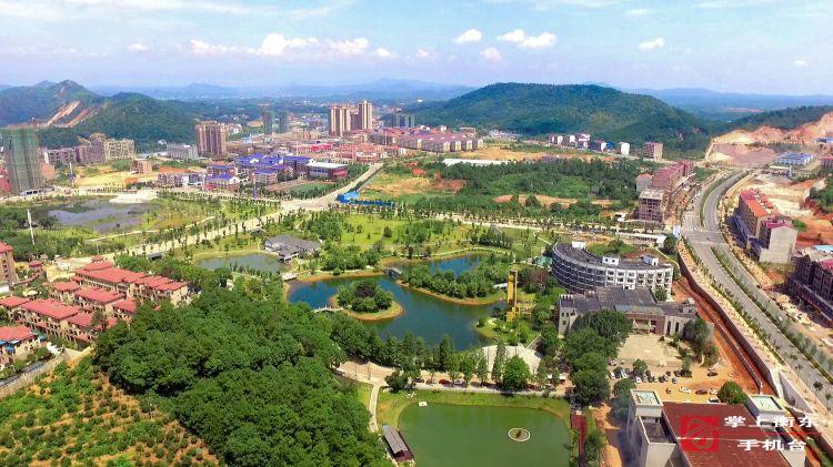 【“两不愁三保障”集中攻坚月】“两不愁三保障”集中攻坚月活动重要时间节点