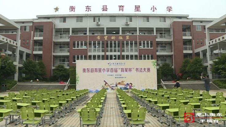 县育星小学：开展校园书法比赛　传承中国传统文化