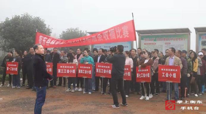 县林业局开展油茶采摘比赛活动