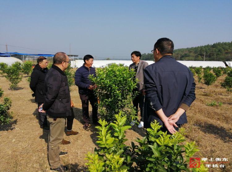 县林业局积极推广林业新技术促精准脱贫